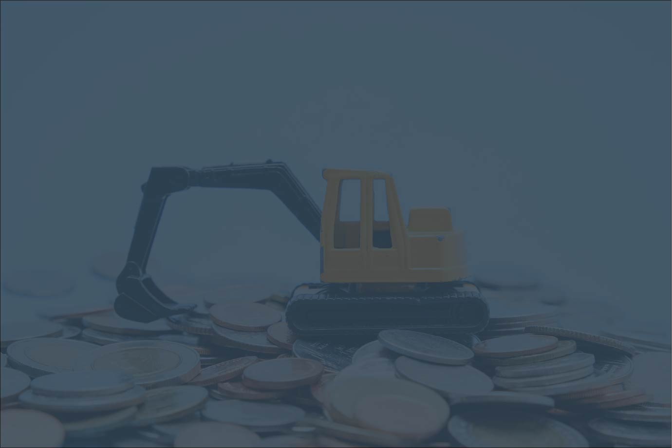 Consequences of Petrochemical Industry Privatization